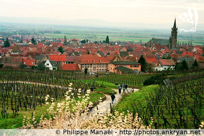 Dambach-la-Ville (Alsace, France)