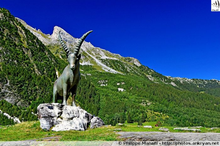 Bouquetin en bronze de Pralognan-la-Vanoise (Savoie, France)