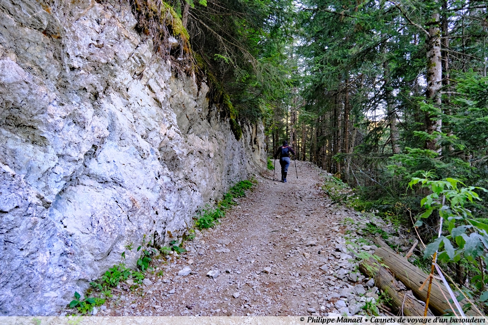 Sentier forestier au-dessus du parking de la Fétuière, Bernex (Alpes, Haute-Savoie, France)